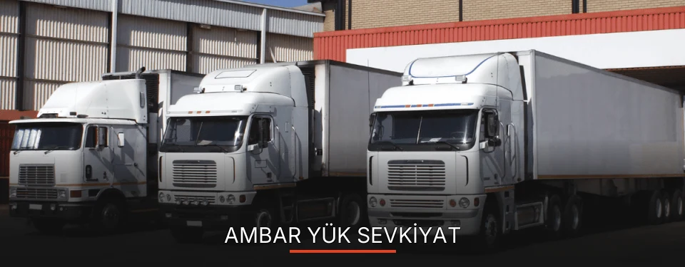 Didim Ambar Yük Ambarı Firmaları